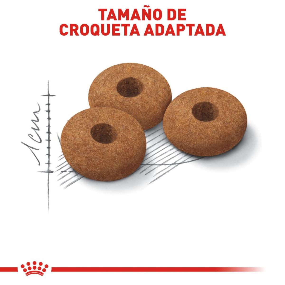 Spayed / Neutered Appetite Control Royal Canin - Alimento para Gato Spayed / Neutered Appetite Control Royal Canin - Alimento para Gato